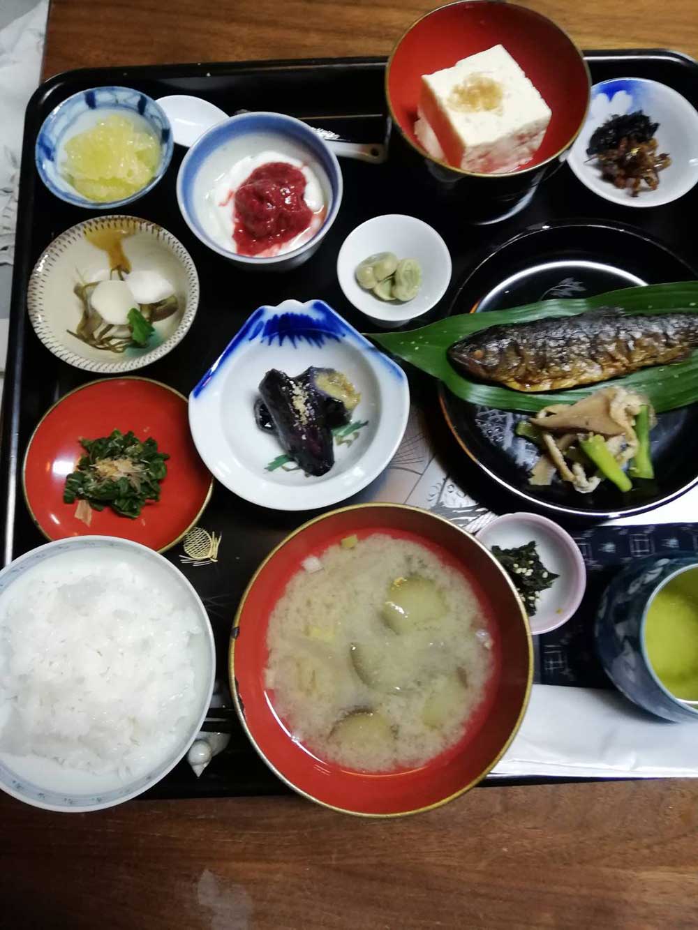活動記録