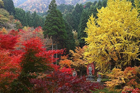 英彦山の紅葉