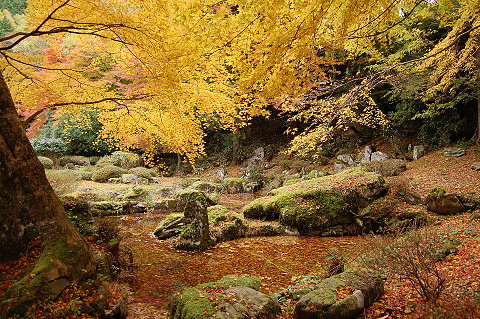 英彦山の紅葉