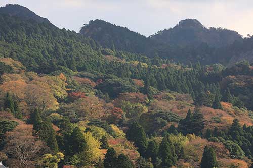 英彦山の紅葉