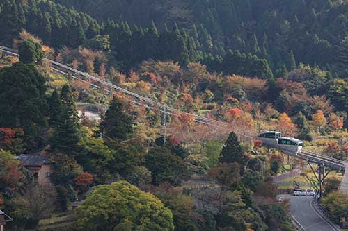 英彦山の紅葉