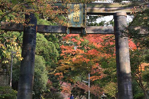 英彦山の紅葉