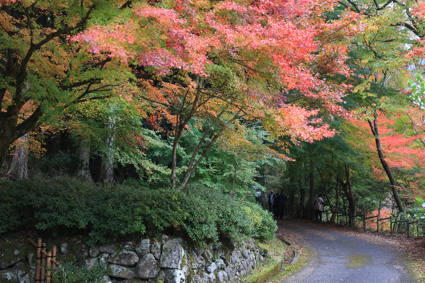 英彦山の紅葉