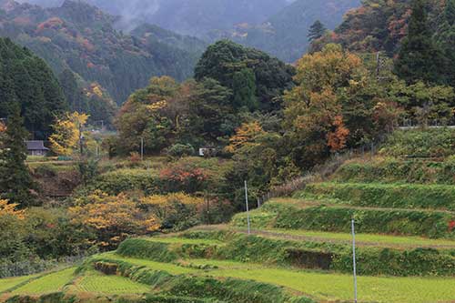 英彦山の紅葉