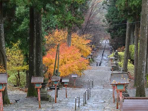 英彦山の紅葉