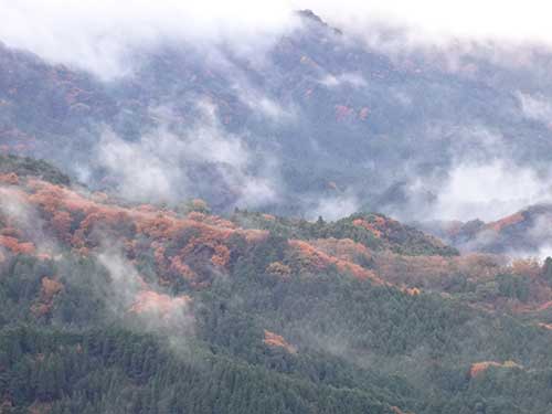 英彦山の紅葉