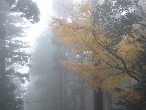 英彦山の紅葉