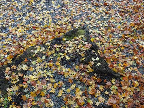 英彦山の紅葉