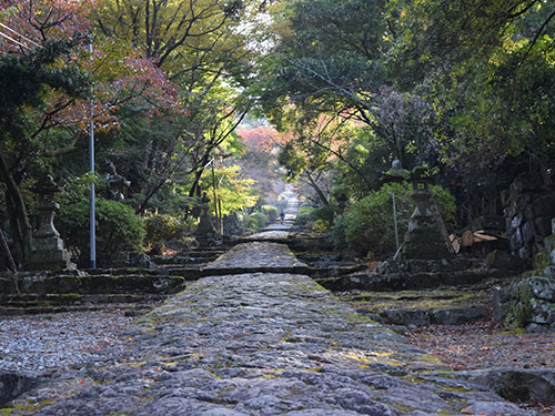 英彦山神宮の参道.jpg