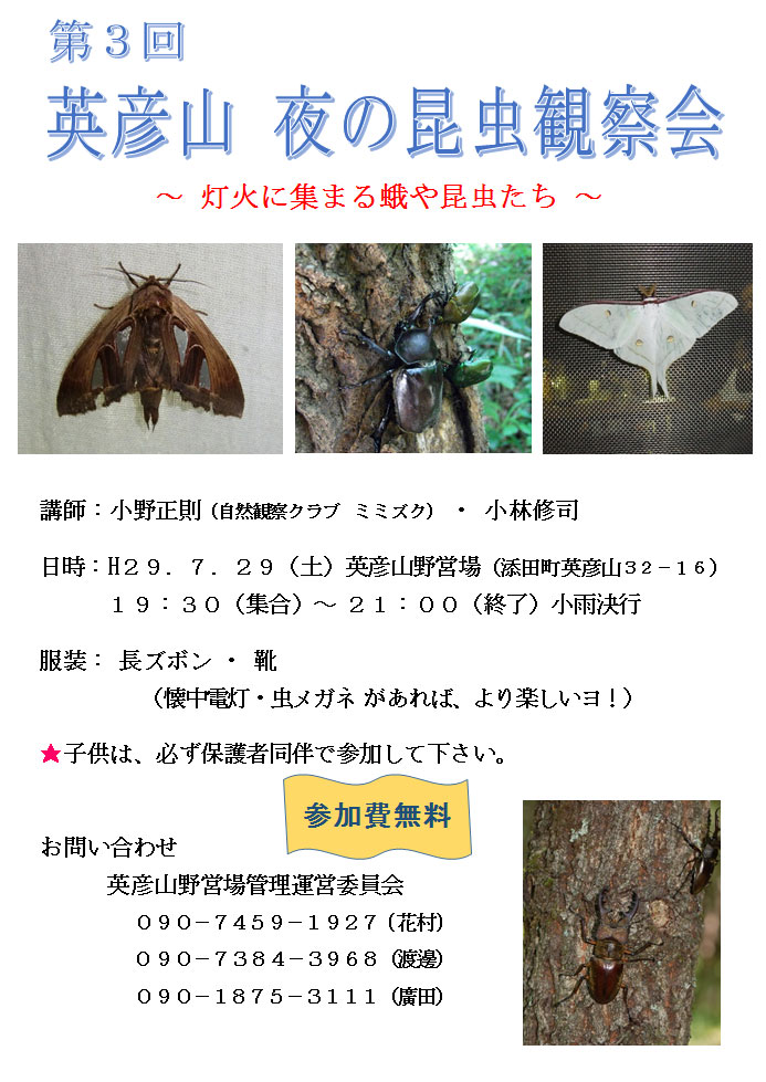 第３回 英彦山 夜の昆虫観察会.jpg